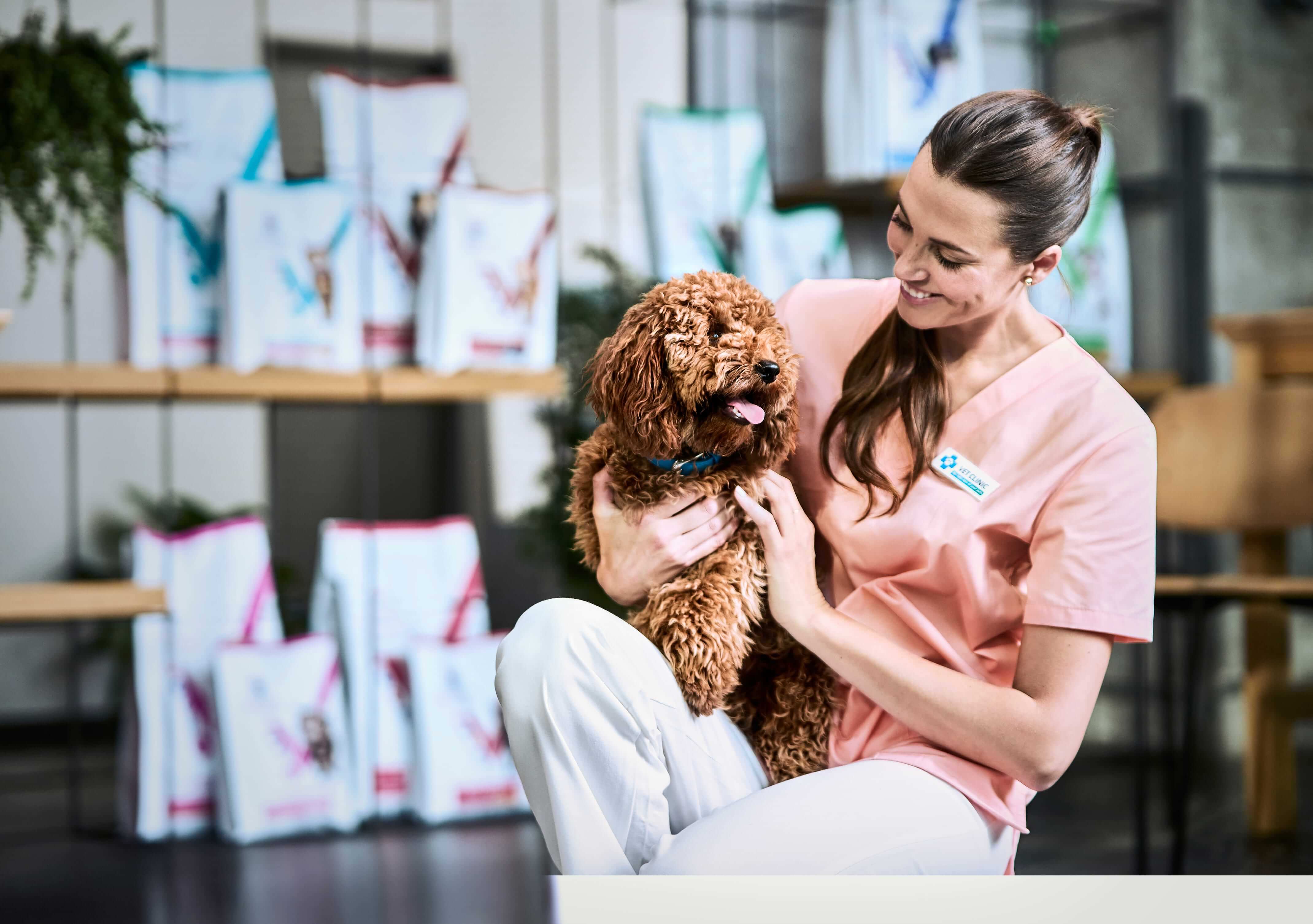 Pisică întinzându-se spre bolul de hrană