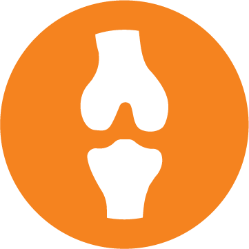 Pictogramă susținerea oaselor și articulațiilor