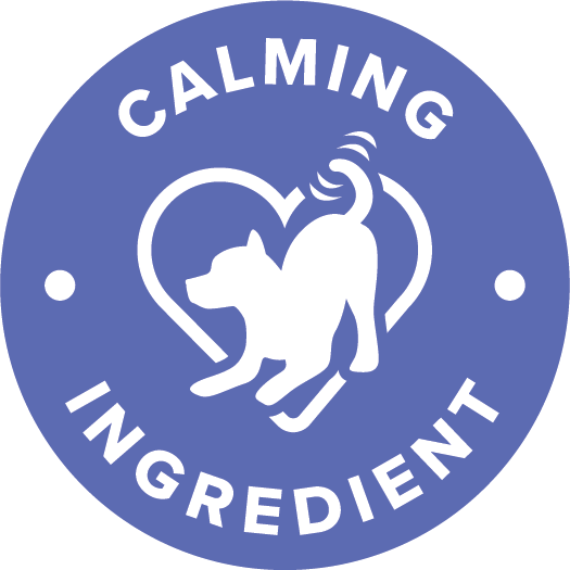 Pictogramă susținerea oaselor și articulațiilor