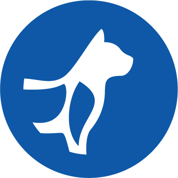 Pictogramă susținerea oaselor și articulațiilor